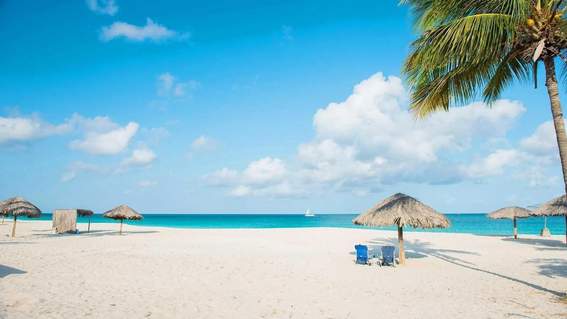 Apartment Beachfront - Best Beach View Studio - E422-1 Palm Beach