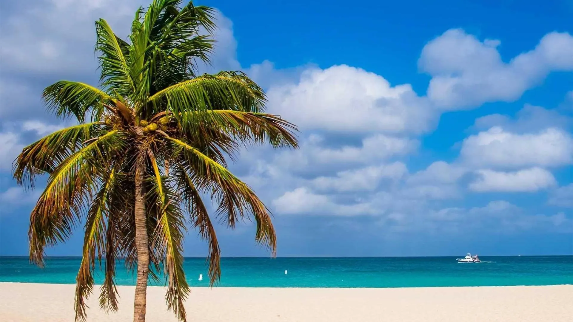 Apartment Beachfront - Best Beach View Studio - E422-1 Palm Beach