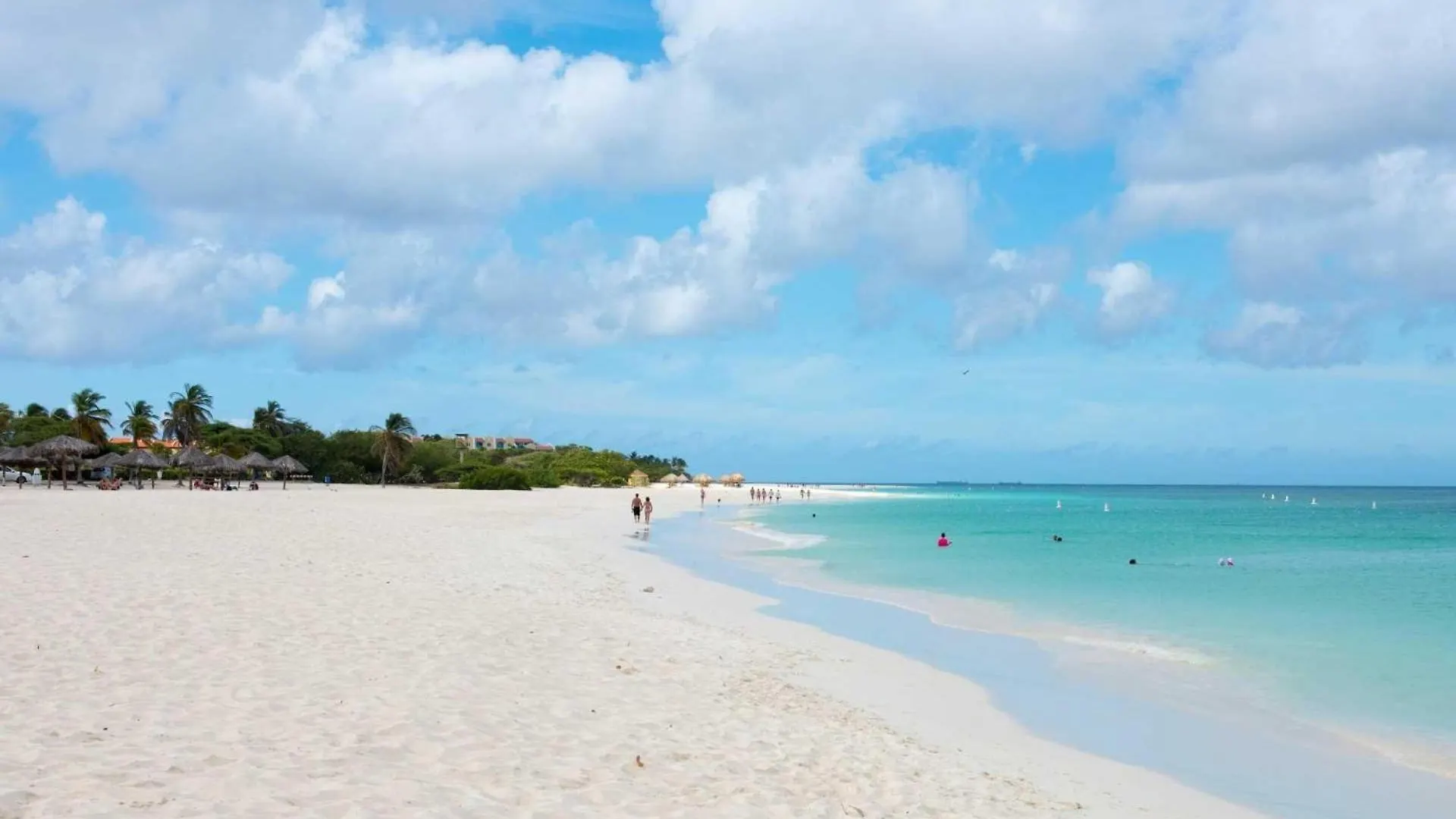 Beachfront - Best Beach View Studio - E422-1 Palm Beach Aruba